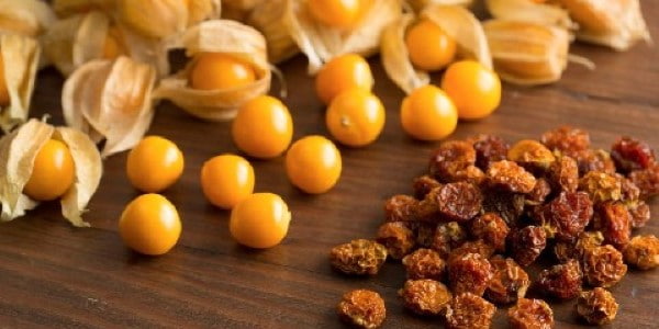 تصویر 4 از خرید و فروش میوه خشک فیسالیس با شرایط فوق العاده